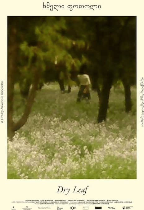 《落叶球》格鲁吉亚语 百度网盘/夸克网盘下载