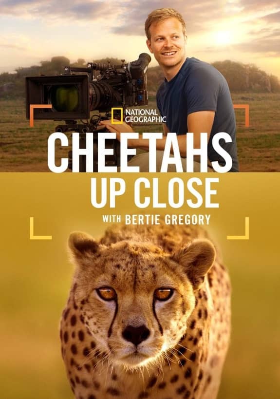 《摄影师伯蒂与猎豹零距离》英语 百度网盘/夸克网盘下载