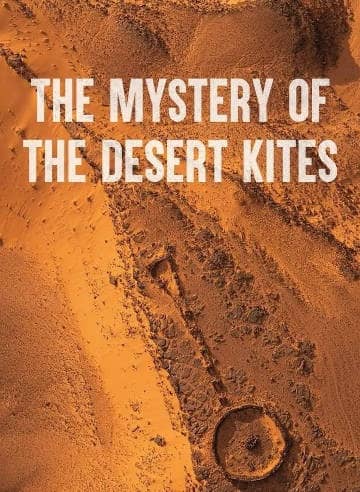 《沙漠风筝之谜》英语 百度网盘/夸克网盘下载