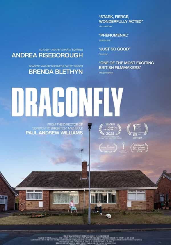 《危情蜻蜓》英语 百度网盘/迅雷云盘/夸克网盘下载