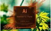 Adobe Illustrator 2021专业版【Ai 2021】中文绿色版下载