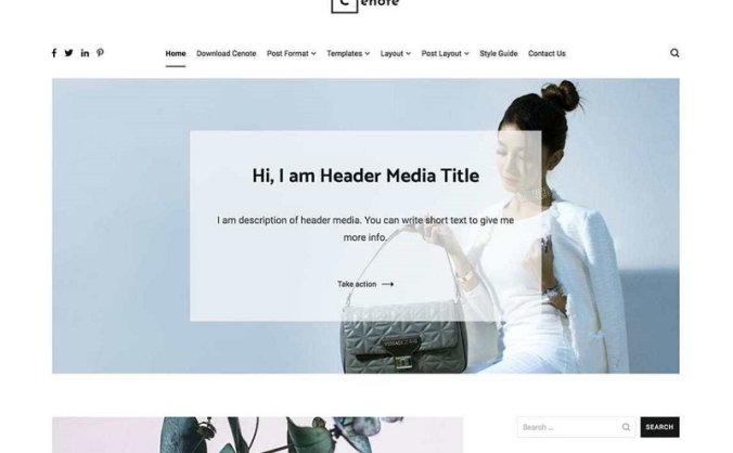 WordPress主题 Cenote v1.3.4 设计精美的干净博客主题