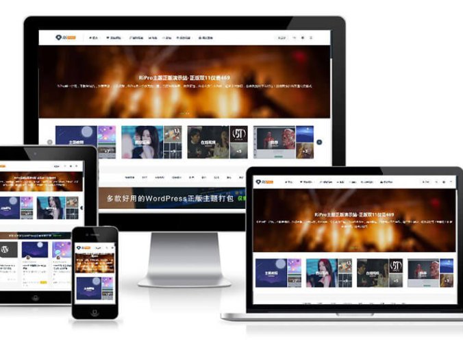 WordPress付费资源下载主题 RiPro v8.7 最新破解版