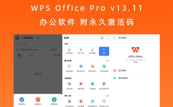 WPS Office Pro v13.11 办公软件 附永久激活码