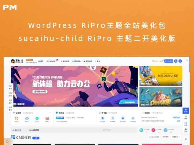 WordPress RiPro主题全站美化包 sucaihu-child RiPro 主题二开美化版