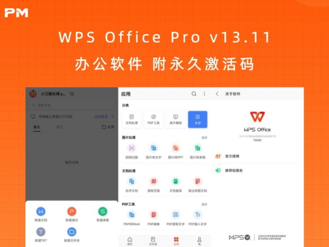 WPS Office Pro v13.11 办公软件 附永久激活码