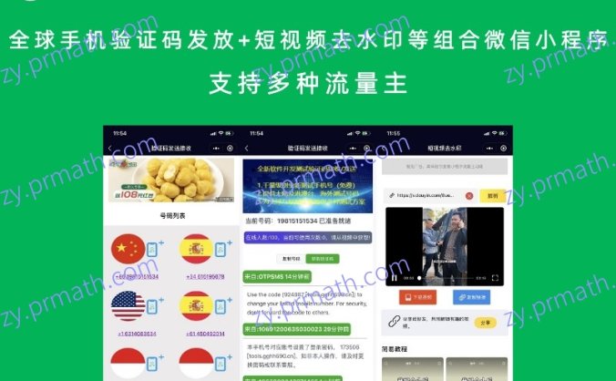 全球手机验证码发放+短视频去水印等组合微信小程序 支持多种流量主