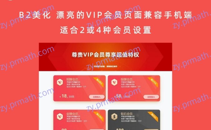 B2美化 漂亮的VIP会员页面兼容手机端(适合2或4种会员设置)
