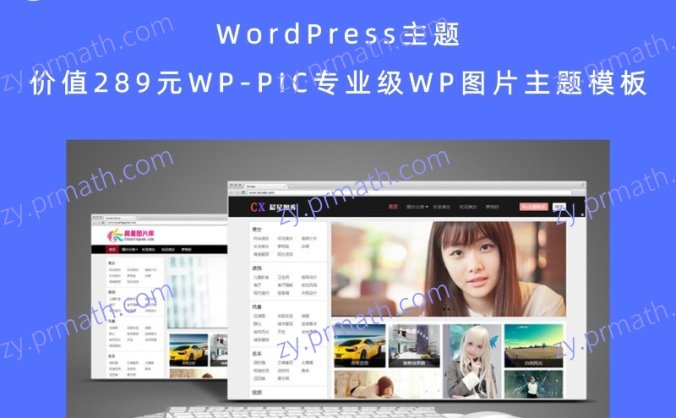 WordPress主题 价值289元WP-PIC专业级WP图片主题模板