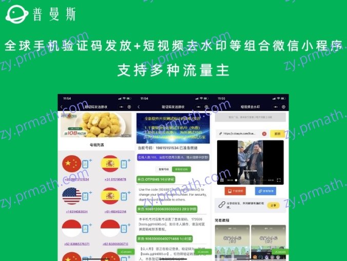 全球手机验证码发放+短视频去水印等组合微信小程序 支持多种流量主