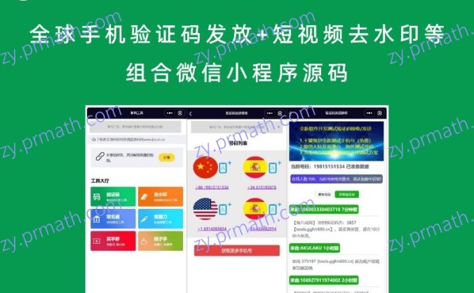全球手机验证码发放+短视频去水印等组合微信小程序源码