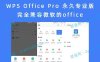 WPS Office Pro 永久专业版 完全兼容微软的office