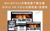 【亲测转发版】WordPress付费资源下载主题 RiPro V8.9开心无授权版/免授权