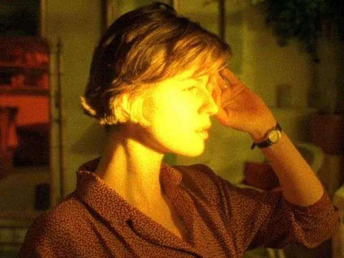 1991爱情电影《两生花》1080P阿里云在线观看下载[MKV/8.73GB]