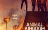 美剧《野兽家族/Animal Kingdom》全六季75集英语中字合集[MP4/49.35GB]阿里云网盘下载