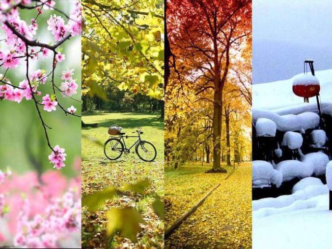 北京大学春夏秋冬四季PPT模板合集[PPT/PPTX/171MB]百度云下载