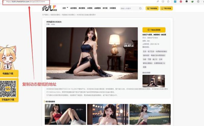 PHP电脑元气动态壁纸在线下载源码 简单部署一键获取动态壁纸