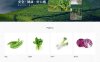 易优CMS模板 生态农业种植农场网站模板下载