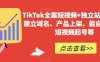 TikTok全案短视频+独立站 包括：建立域名/产品上架/能自主从0-1短视频起号等