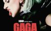 《Lady Gaga：神彩巡回演唱会》英语中字 百度网盘/夸克网盘下载