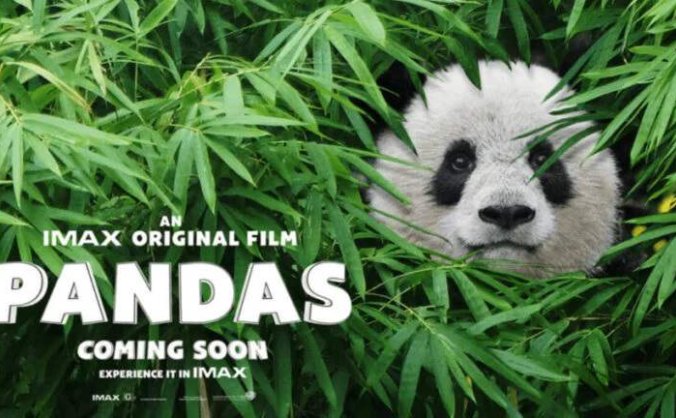 美国纪录片：大熊猫 4K原盘REMUX [HDR] [内封简英双字][MKV/27.2GB]百度云盘打包下载