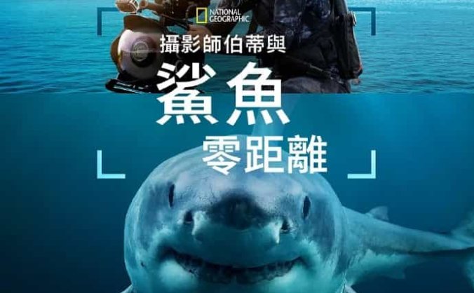 《摄影师贝尔蒂与鲨鱼零距离》英语 百度网盘/夸克网盘下载