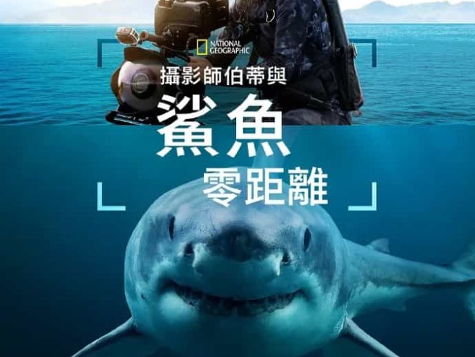 《摄影师贝尔蒂与鲨鱼零距离》英语 百度网盘/夸克网盘下载