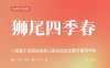 《狮尾四季春》一款基于思源宋体的三角形改造免费可商用字体