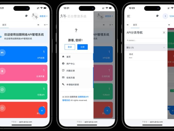 【资源编号33696】二开版API管理系统全开源源码