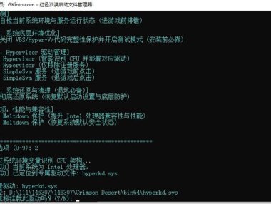 《红色沙漠：豪华版》官方中文设置说明